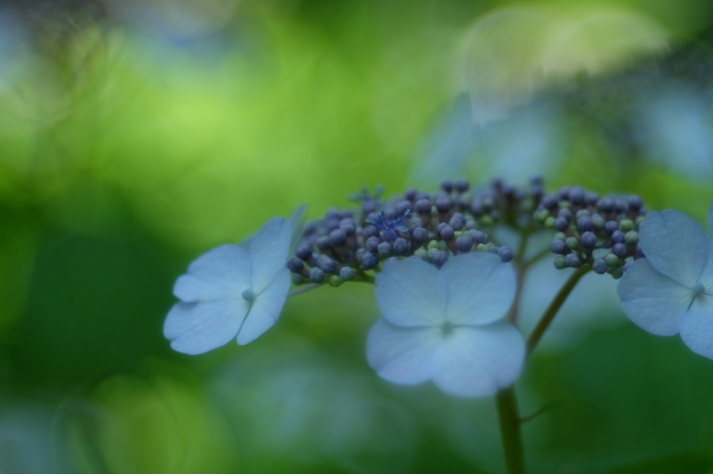DSCF3326
