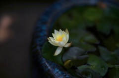 DSCF5068