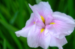 DSCF3265