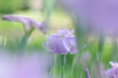 DSCF3260