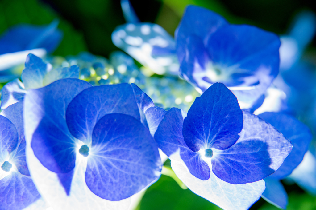 NIKON D800E-20140630182609