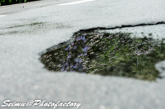 NIKON D800E-20140622140117