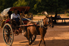 ミャンマーの馬車