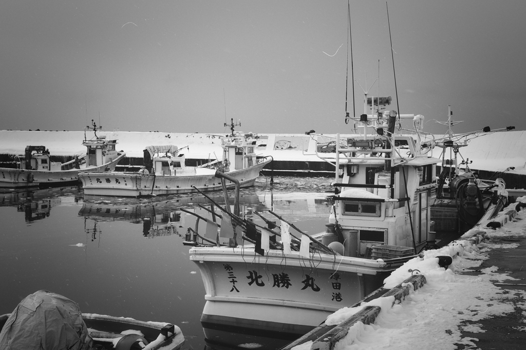 厚田港　１