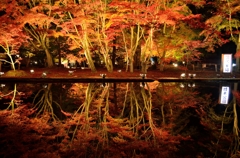 逆さ紅葉の定番
