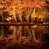 逆さ紅葉の定番