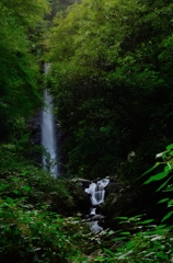 森林の中の養老の滝