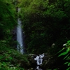 森林の中の養老の滝