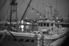 Morning in the fishing port_①
