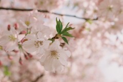 0BAAF6FA-1E15-43B3-9F2F-3222E93E396C