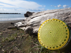 wandering on beach 4