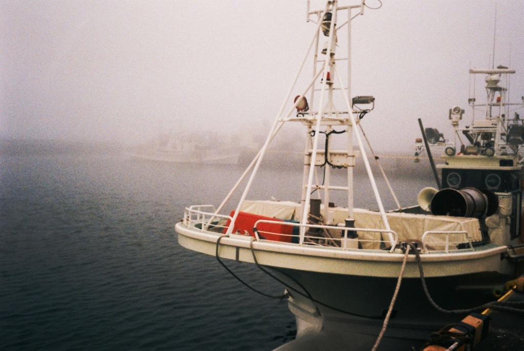 In the spring haze②_film