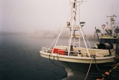 In the spring haze②_film