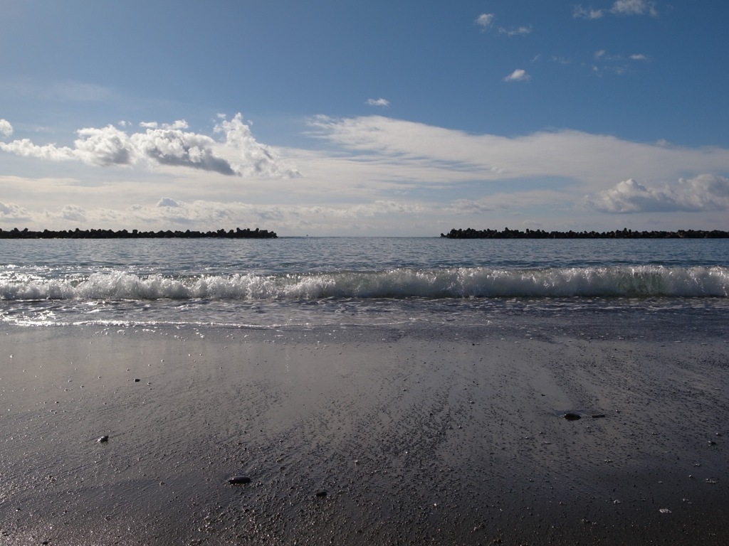 wandering on beach 1