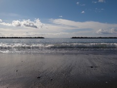 wandering on beach 1