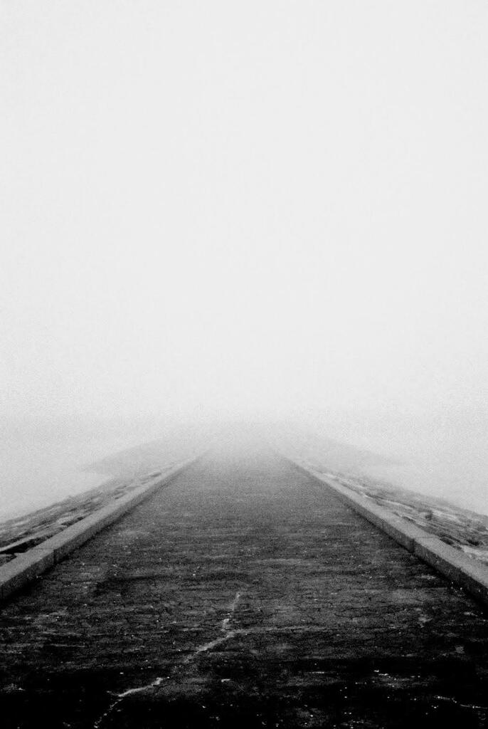 into the fog _film ①