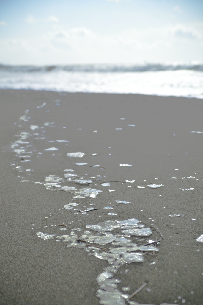 Ice-scattered beach_1