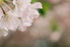 081CC635-355A-460A-AEC7-800B204BA57E