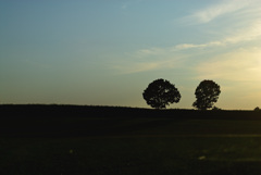 dusk in early autumn