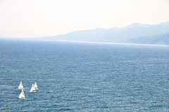 Yacht Race
