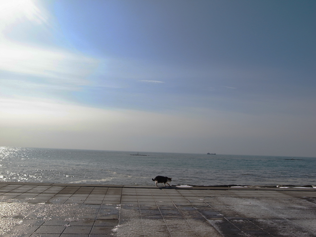 walking along the coast