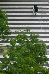 crosswalk_jinguumae②