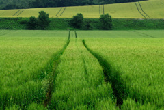 tractor rut