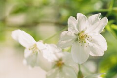 84CDB51E-1B8C-42E2-8E54-BE79BCA95539