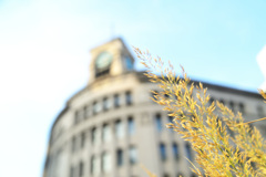strolling around ･･･⑥