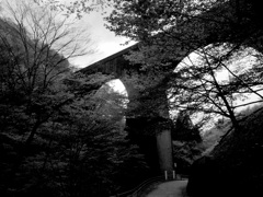 Bridges for abt-type railroads_②
