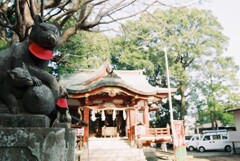 8E785774-C0D8-498D-8D5A-37EAF8A80FD0