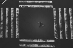 crosswalk