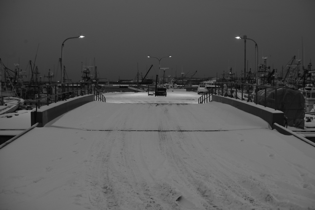 Morning in the fishing port_③