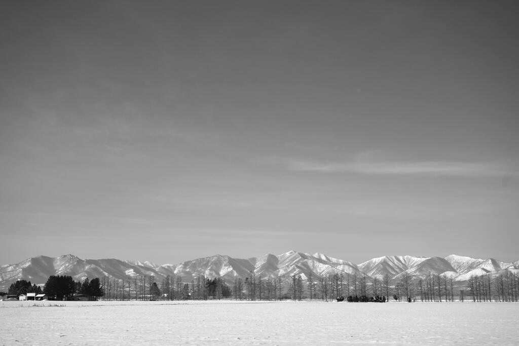 winter morning in Tokachi_monochrome