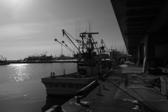 Calm fishing port on sunday