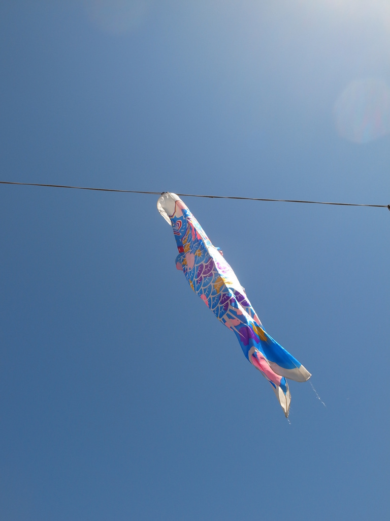 swimming in the sky