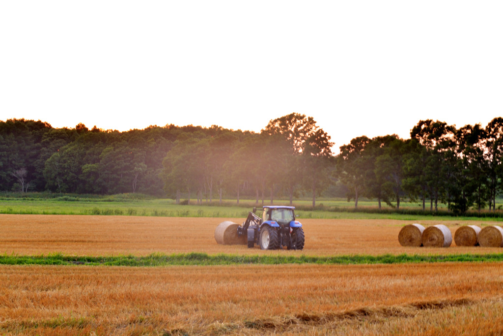 grass-roll