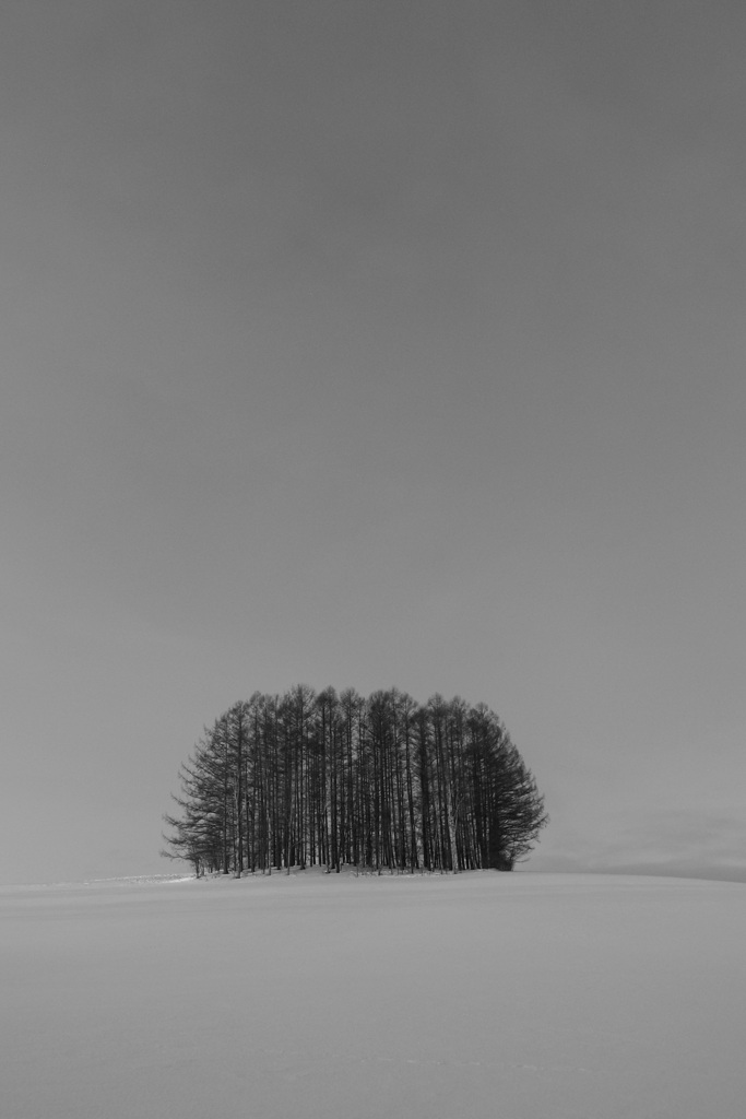 Mild Seven Hill_monochrome