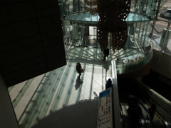 Sunlit into  the lobby