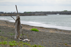 driftwood_②