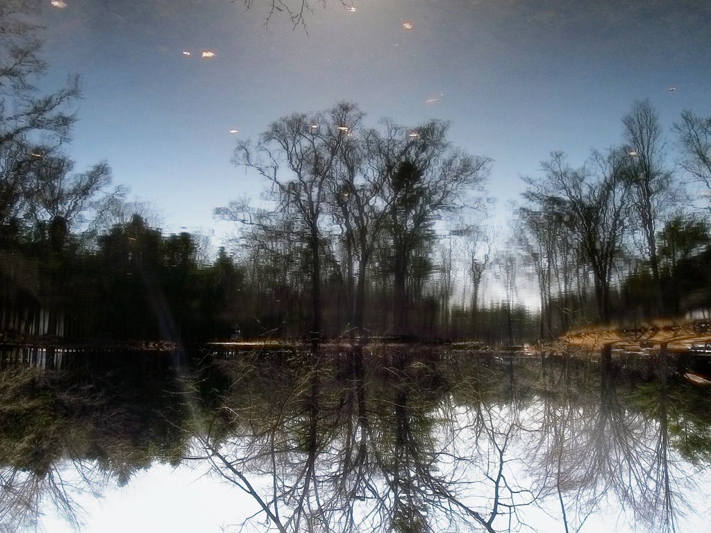 Reflections②