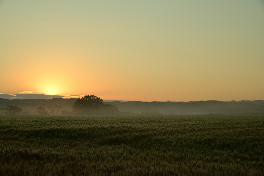 sunrise over the fields_②