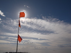 wandering on beach 5