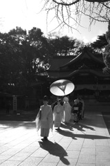 Bridal walk