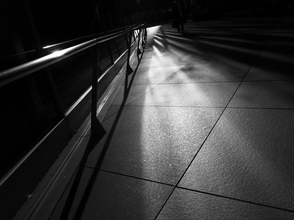 monochrome_光蜥蜴