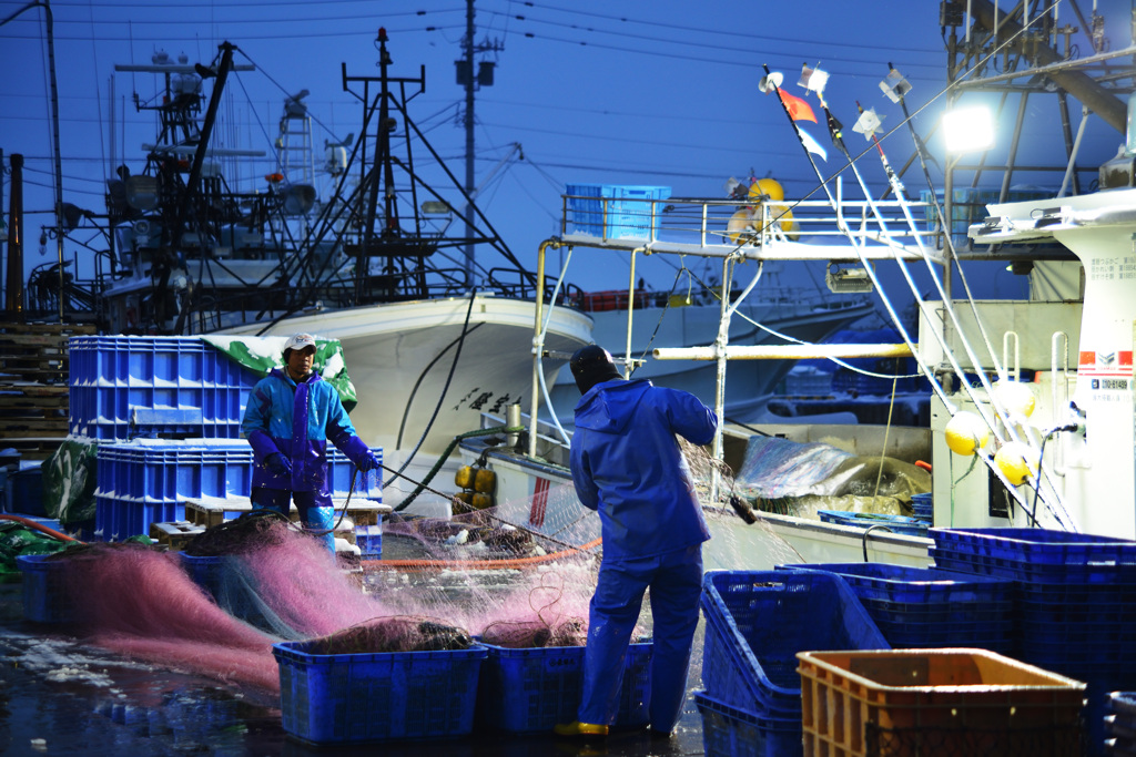 Fishermen are hard at work