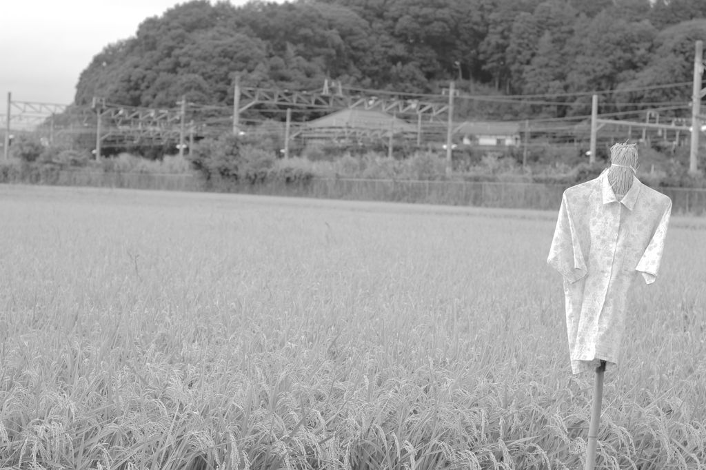 変わるもの変わらないもの