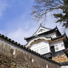 山城を見上げて