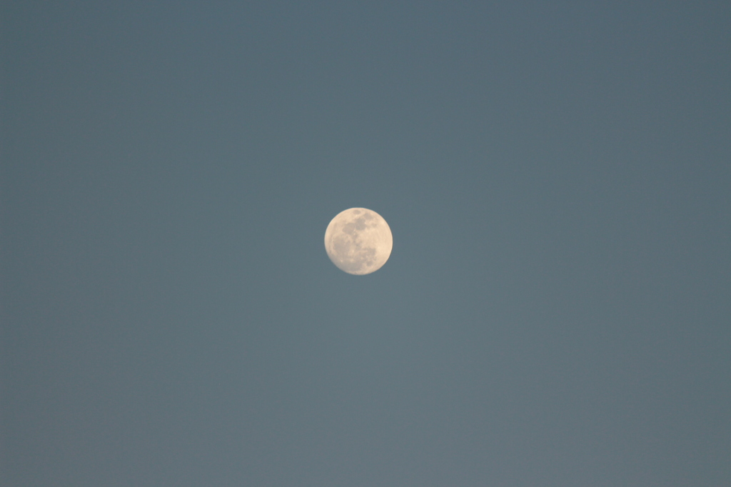 夕方の月