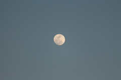 夕方の月